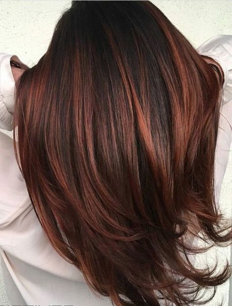 Red Hairstyle, Dark Auburn Hair, Hair Color Plum, Hair Color Caramel, Hair Color Burgundy, Fall Hair Color For Brunettes, Hair Color Auburn, Red Highlights, Winter Hair Color