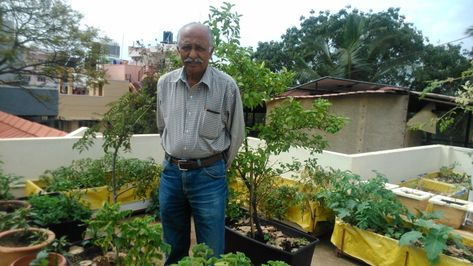 Dr. Viswanath Kadur, the pioneer of terrace gardening in India, tells us all we need to know to get a lush green space and grow organic veggies on our very own terrace! Garden Ideas India, Terraced Vegetable Garden, Terrace Gardening, Garden Design Pictures, Fenced Vegetable Garden, Terraced Backyard, Terrace Garden Ideas, Terrace Garden Design, Small Balcony Garden