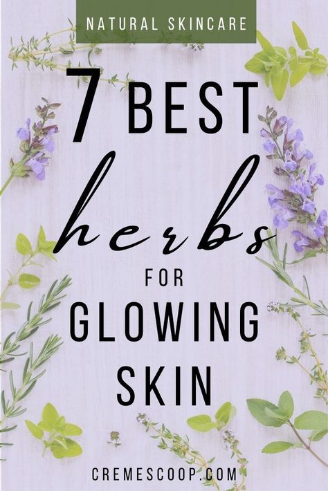 Herbs have many beauty and health benefits. Discover the best herbs for beautiful skin and get naturally glowing skin in no time! #diyskincare #naturalskincare #antiaging Japanese Beauty Secrets, Naturally Glowing Skin, Beautiful Glowing Skin, You're Worth It, Toxic Skincare, Beauty And Health, All Natural Skin Care, Skin Glowing, Herbs For Health