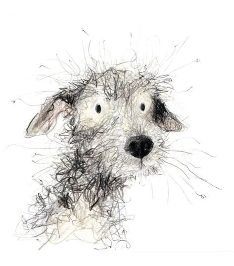 Collie Drawing, Catherine Rayner, Scruffy Dogs, Different Types Of Dogs, Animal Illustration Art, Scribble Art, Bearded Collie, Dog Sketch, Chicago Usa