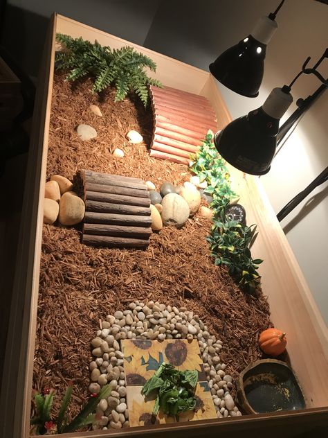 made for small russian tortoise Inside Tortoise Enclosure, Tortoise Home Ideas, Cherry Head Tortoise Enclosure, Tortoise Toys Diy, Small Tortoise Habitat Indoor, Small Tortoise Enclosure, Tortoise Cage Ideas, Tortoise Vivarium Ideas, Russian Tortoise Enclosure Indoor