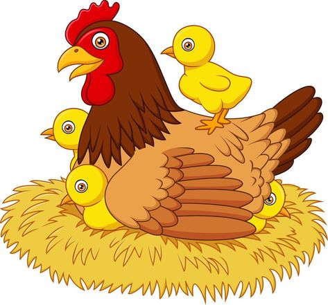 Cartoon hen with her baby chicks Cartoon Hen, Pigeon Nest, Cute Cartoon Images, Hens And Chicks, The Cartoon, Baby Chicks, Cartoon Clip Art, Hen, Cute Cartoon