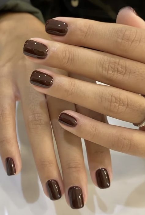 Old Money Nails, Money Nails, Brown Nail Polish, Brown Nail, Cat Kuku, Neutral Nails, Brown Nails, Dipped Nails, Quiet Luxury