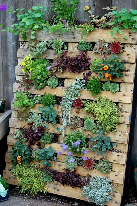 This amazing tutorial of how to build a vertical garden using wood pallets is truly one of the best I have ever seen with it's detailed instructions and ph Obelisk Ideas, Pallet Gardens, Kebun Herbal, Tanaman Sukulen, Taman Diy, Palette Garden, Garden Obelisk, Pallet Planter, Vertical Garden Diy