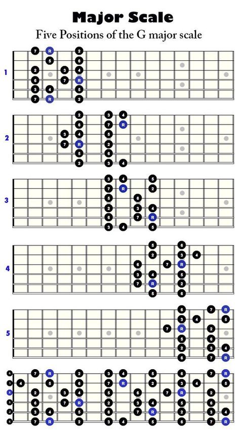 Five positions of the G major scale Basic Chords Guitar, Learn Guitar Scales, Guitar Scales Charts, Guitar Chords And Scales, Akordy Gitarowe, Ovation Guitar, Learn Guitar Chords, Music Theory Guitar, Guitar Notes