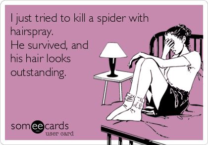 Funny Ecard: I just tried to kill a spider with hairspray. He survived, and his hair looks outstanding. Clipuri Video, True Blood, E Card, Ecards Funny, Someecards, Going To The Gym, I Smile, Bones Funny, True Stories