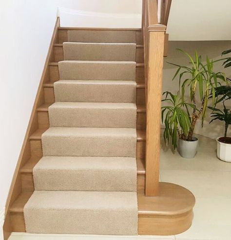 Round Stairs, Stairs Runner, Stair Paneling, Entryway Stairs, Staircase Runner, Stair Makeover, House Staircase, Oak Stairs, Wood Staircase