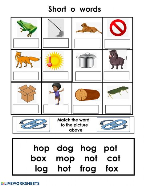 Short o word bank - Interactive worksheet Short O Sound Worksheets, Short Vowel O Worksheets, Short I Words Worksheets, Cvc O Words Worksheet, O Sound Words Worksheet, O Words Worksheet, Short O Worksheets, Worksheet For 1st Grade, Short O Words