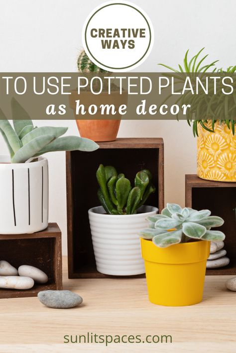 How To Decorate With Potted Plants: Home Decor Ideas - Sunlitspaces.com Potted Plant Ideas, Potted Plant Decor, Plant Decor Ideas, Plants Home Decor, Plants Home, House Tips, Plant Ideas, How To Decorate, Home Look