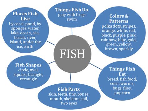 Macomb Illinois, Fish Project, Emergent Curriculum, Classroom Lesson Plans, Montessori Art, Preschool Projects, One Fish Two Fish, Inquiry Based Learning, Curriculum Development