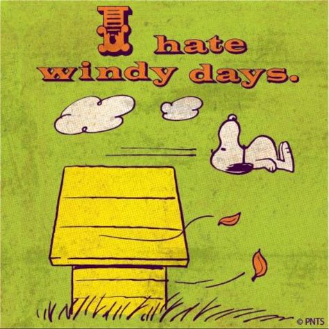 I hate windy days. 🌬 💨 Charles Shultz, Peanuts Quotes, Blowin' In The Wind, Snoopy Images, Peanuts Cartoon, Peanuts Characters, Snoopy Quotes, Snoop Dog, Joe Cool