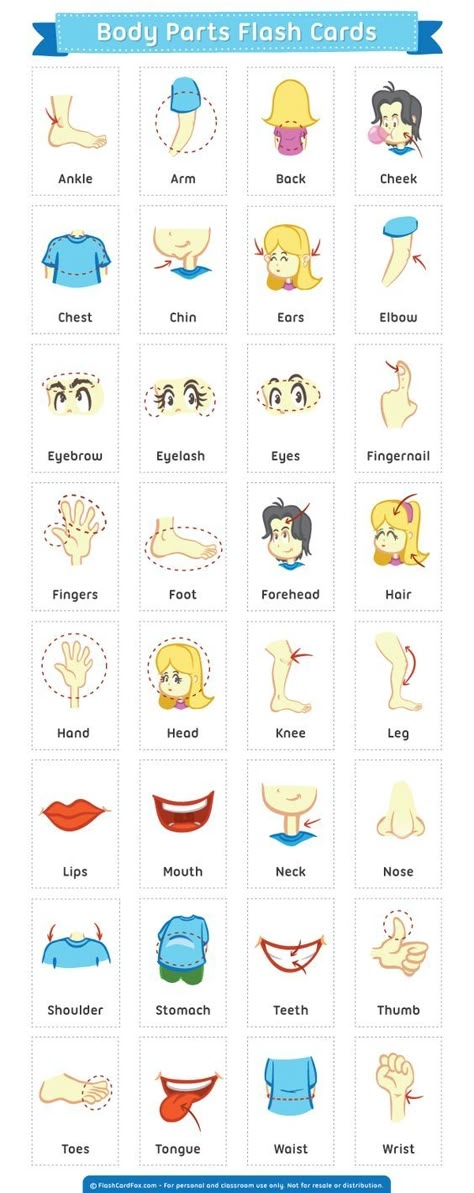 Free printable body parts flash cards. Download them in PDF format at http://flashcardfox.com/download/body-parts-flash-cards/ Piercing Business, Spanish Body Parts, Body Parts Flashcards, Ingles Kids, Kids English, Spanish Vocabulary, English Activities, Flash Card, English Tips