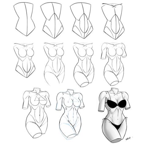 Human Anatomy Step By Step, How To Draw Female Torso Step By Step, Body Anatomy Drawing Study Female, How To Figure Draw, Drawing Female Body Anatomy, How To Draw Torso Female, How To Draw A Female Body Step By Step, Female Torso Drawing, Anatomy Step By Step