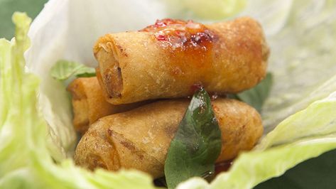 Chicken Spring Rolls in Lettuce CupsProducts we use Justine Schofield, Dude Food, Chicken Mince, Gourmet Chicken, Chicken Spring Rolls, Spring Roll Wrappers, Gourmet Meals, Spring Roll Recipe, Lettuce Cups