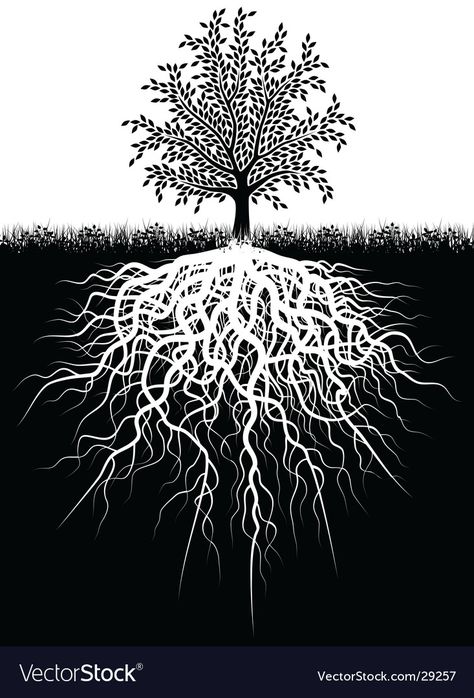 Roots Illustration, Roots Drawing, Therapy Logo, Oak Tree Tattoo, Painting Study, Earth Elements, Tree Illustration, Tree Roots, Tree Drawing