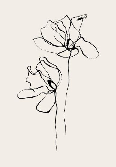 Abstract Flower Tattoos, Paint Photoshoot, Minimal Drawing, Line Tattoo Ideas, Funky Tattoos, Line Art Flowers, Minimal Drawings, Poppies Tattoo, Flower Line Drawings