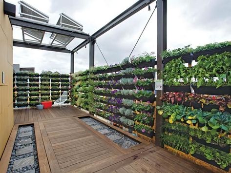 Roof Garden Design, Buying House, Rooftop Terrace Design, Rooftop Design, Fence Landscaping, Terrace Design, Rooftop Garden, Vegetable Garden Design, Backyard Fences