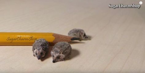 Polymer Clay – Tutorials – Page 6 – Polymer Clay Hibernating Animals, Tiny Hedgehog, Tiny Polymer Clay, Animals That Hibernate, Air Drying Clay, Clay Tips, Miniature Clay, Doll Miniatures, Fuzzy Coat