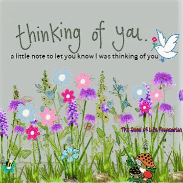 Think Of You Quotes Support, Thinking Of You Images, Get Well Soon Quotes, Ok Gif, Condolences Quotes, Get Better Soon, Hug Images, Sending You A Hug, Sympathy Messages