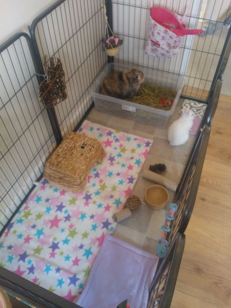 Neji + Luna's cage ~ Indoor rabbit set up Rabbit Set Up Indoor, Tapsi Hapsi, Indoor Rabbit House, Indoor Rabbit Cage, Diy Guinea Pig Cage, Rabbit Stuff, Guinea Pig Hutch, Rabbit Habitat, Pet Rabbit Care