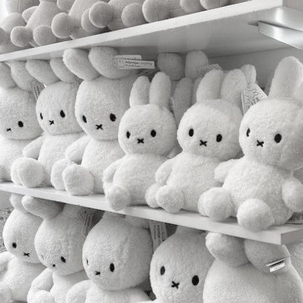 Lezhin Comics, Kawaii Plushies, Japanese Aesthetic, Cute Stuffed Animals, Cute Plush, Phone Themes, White Aesthetic, 귀여운 동물, Cute Bunny