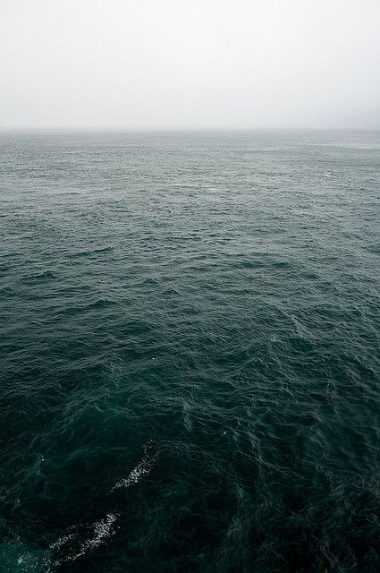 by Colin Grigson, via Flickr Calming View, Dark Sea, Sea And Ocean, Salt And Water, Big Blue, Pacific Ocean, Deep Sea, Ocean Waves, Antlers