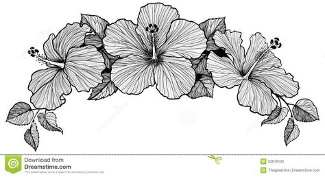 black and white vector flower wreaths | Bouquet of three hawaiian hibiscus flowers. Black and white graphic ... Flowers Drawing Pencil, Hibiscus Flower Drawing, Flower Bouquet Drawing, Jagua Henna, Hibiscus Tattoo, Samoan Tattoo, Flowers Wreath, Wreath Drawing, Flowers Drawing