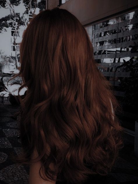 Pelo Color Caoba, Dark Chestnut Brown Hair, Chocolate Red Hair, Chocolate Auburn Hair, Dark Chestnut Hair, Dark Brown Hair Rich, Apocalyptic Aesthetic, Mahogany Brown Hair, Brown Auburn Hair