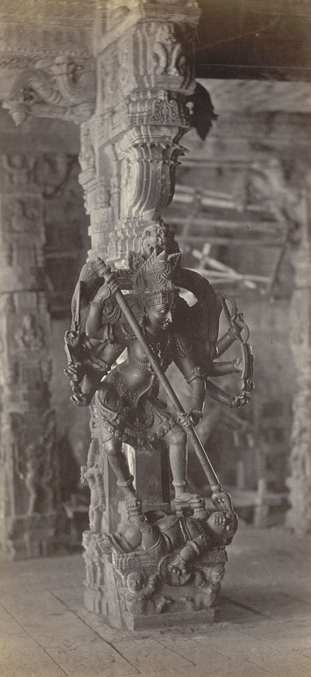 pillar at the Pattiswaraswami temple at Perur Twitter Inc, Ancient Indian Art, Indian Temple Architecture, India Architecture, Ancient Indian Architecture, Hindu Statues, Indian Sculpture, History Of India, Temple Architecture