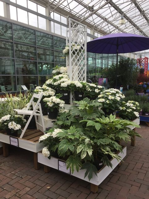 Garden Centre Displays, Indoor Plant Display, Flower Shop Interiors, Garden Center Displays, Plant Display Ideas, Petal Pushers, Hydrangea Garden, Garden Store, Greenhouse Plans