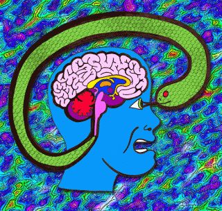 ReptilBrain Reptilian Brain, Mind Unleashed, Frontal Lobe, Impulsive Behavior, Aliens And Ufos, Open Minded, Neuroscience, Interesting Articles, First They Came