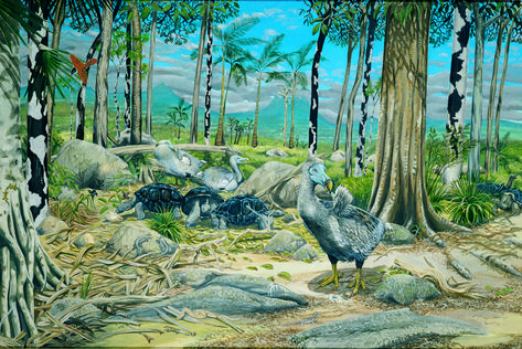 A forest scene of what Mauritius may have been like prior to the arrival of the Dutch settlers, when the dodo still lived.<br /> Lion Face Drawing, Mauritius Island, Prehistoric Wildlife, Animals And Plants, Prehistoric World, Prehistoric Art, Paleo Art, Science Photos, Extinct Animals