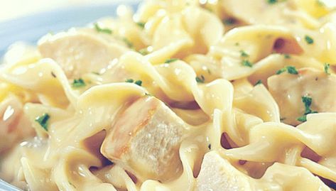 Homemade Chicken Alfredo Creamy Chicken Noodles, Cambells Recipes, Creamy Chicken And Noodles, Homemade Chicken Alfredo, Chicken And Egg Noodles, Casseroles Recipes, Campbells Soup Recipes, Pasta Creamy, Campbells Recipes