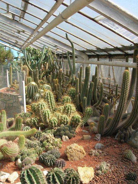 How to Heat a Greenhouse Greenhouse In Winter, Cactus Greenhouse, Diy Heater, Heating A Greenhouse, Kerosene Heater, Cheap Candles, Small Greenhouse, Free Picture, Public Domain Images