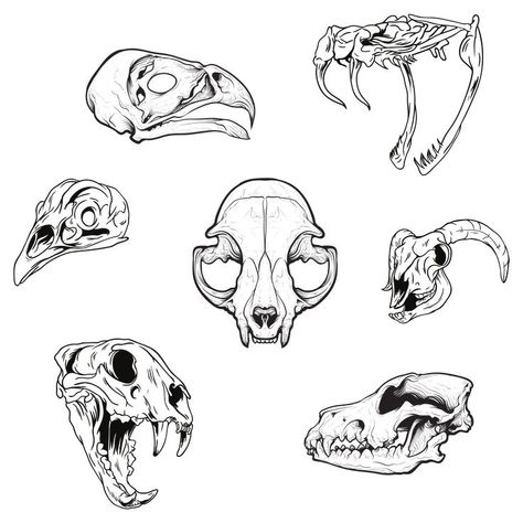 simple pack of animal skull line art Skulls Sketch, Animal Skull Tattoo, Animal Skull Drawing, Tattoo Crane, Bone Drawing, Simple Skull, Skull Sketch, Insect Tattoo, Bone Tattoos