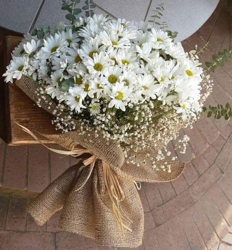 Flowers Daisy Bouquet, Flower Arrangements Daisy, Flower Arrangements With Daisys, Daisy Flower Wedding Decor, Daisy Flower Table Decoration, Daisies Flower Arrangements, Daisy Flower Decor, Daisy Flowers Bouquet, Daisy Flower Decorations