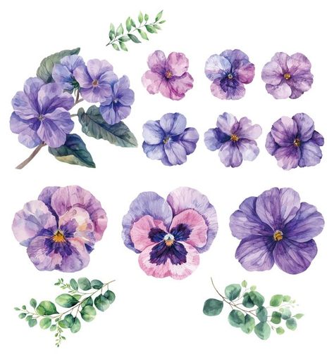 Purple flower watercolor illustration | Premium Vector #Freepik #vector #purple #flower #violet #watercolor Purple Flower Watercolor, Watercolor Violet, Watercolor Flower Vector, Violet Watercolor, Flower Violet, Flower Watercolour, Flowers Vector, Watercolour Illustration, Flower Watercolor