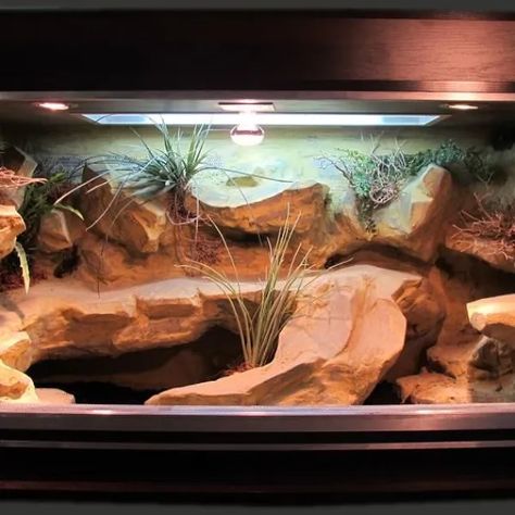 Desert Reptile Enclosure, Excavator Clay Terrarium, Leopard Gecko Terrarium Ideas, Bearded Dragon Setup, Gecko Enclosure, Lizard Cage, Reptile Pets, Bearded Dragon Terrarium, Bearded Dragon Enclosure