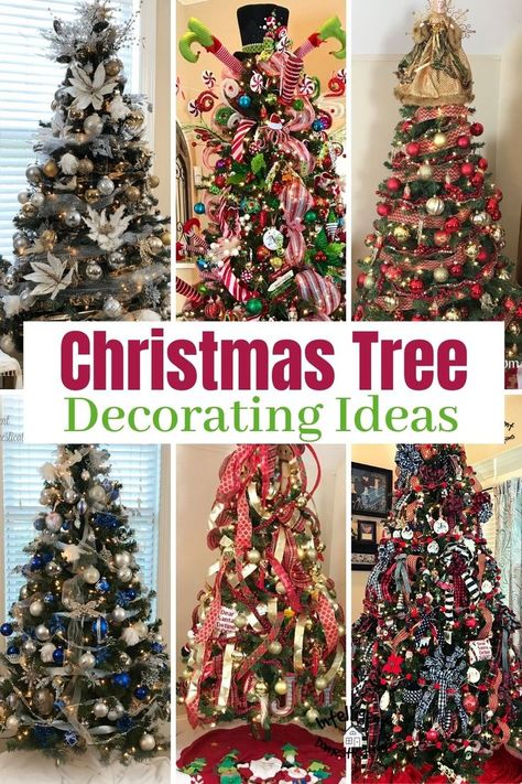 six decorated Christmas trees Christmas Tree With Coloured Lights, Gorgeous Christmas Trees, Unique Christmas Trees Themes, Christmas Tree Colour Scheme, Decorating A Christmas Tree, Christmas Tree Decorating Ideas, Tree Decorating Ideas, Outside Christmas Decorations, Christmas Trees For Kids