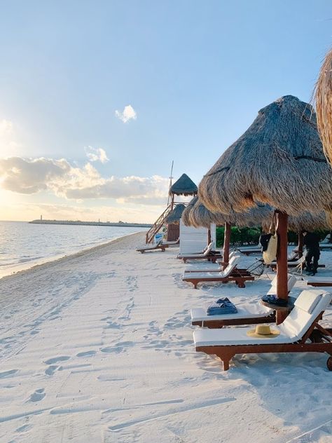 Private Beach Resort, Beach Resort Pictures, Beach Resort Aesthetic, Beach Vacation Aesthetic, Resort Aesthetic, Resort Pictures, Mexican Resort, Beaches In Mexico, Luxury Beach Vacation