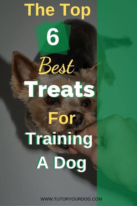 The Top 6 Best Treats For Training A Dog - Tutor Your Dog Best Puppy Training Treats, Training Treats For Puppies, Treats For Puppies, Puppy Training Treats, Training A Dog, Best Treats, Best Treats For Dogs, Training Dogs, Puppy Biting