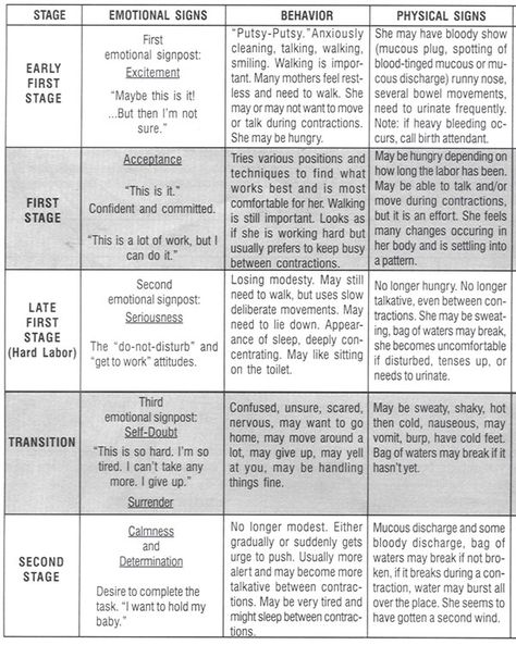 Explore the stages of labor with your birthing team, finding a position guide, stages of labor chart, and more to plan ahead for your childbirth experience. Bradley Birthing Method, Bradley Method Cheat Sheet, The Bradley Method, Stages Of Labor Chart, Bradley Method Birth Plan, Labor Stages, Bradley Method, Labor Doula, Labor Tips