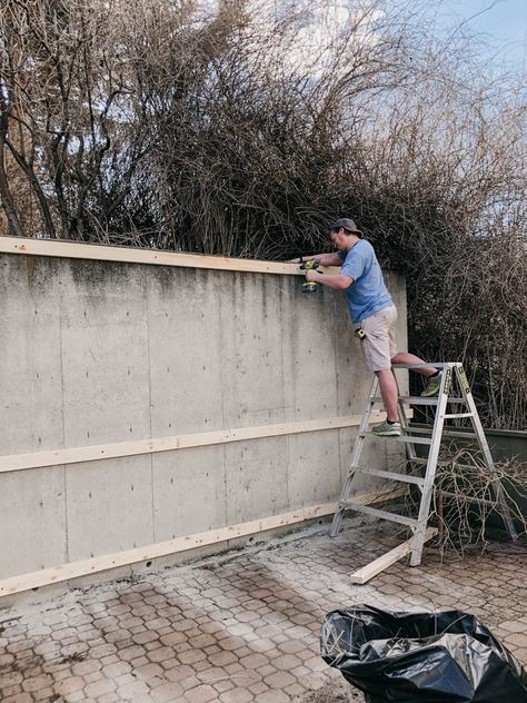 Cover Concrete Retaining Wall, Diy Concrete Wall Outdoor, Wood Slat Retaining Wall, Diy Concrete Fence Wall, How To Cover Concrete Walls Outside, Exterior Concrete Wall Ideas, Outside Wall Covering Ideas, Concrete Wall Ideas Outdoor, Cover Cement Walls Exterior