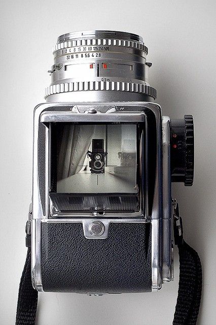 Hasselblad and Minolta Autocord Vintage Cameras Photography, Camera Lover, Fotocamere Vintage, Antique Cameras, Hollywood Film, Photo Gear, Classic Camera, Film Photography 35mm, Old Cameras