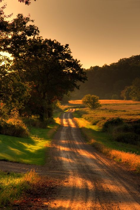 Photography Camera Settings, Tree Pictures, Country Photography, Country Summer, Country Roads Take Me Home, Red Dirt, Country Landscaping, Country Scenes, Pictures Photography