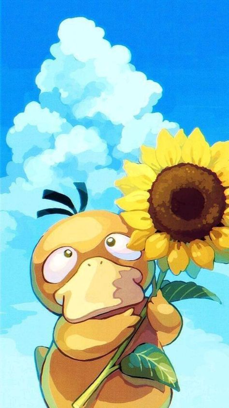 Sunflower, Pokemon, Blue, White, Pokémon