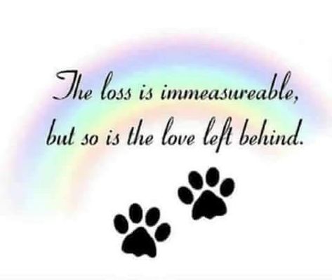 Rest In Peace Pets Dogs, Losing A Dog Quotes, Baby Exotic Animals, Losing A Pet Quotes, Dog Heaven Quotes, Pet Memorial Picture Frame, Dog Poems, House Pets, Pet Sympathy Cards