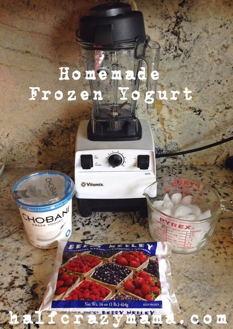 Vitamix Dessert, Vitamix Ice Cream Recipes, Frozen Yogurt Desserts, Greek Yogurt Ice Cream, Ninja Blender Recipes, Flavored Yogurt, Homemade Frozen Yogurt, Ice Dessert, Chobani Yogurt