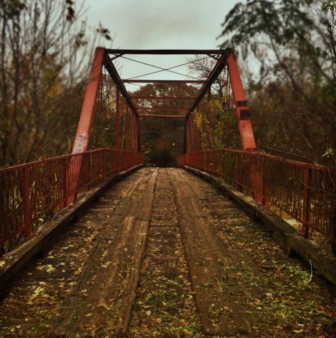 Small Town Aesthetic, Paranormal Aesthetic, Small Town Mystery, Town Aesthetic, Forest Aesthetic, Southern Gothic, Paranormal Investigation, Ghost Hunters, Gothic Aesthetic