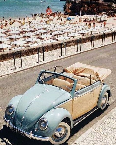 Scooters Vespa, Volkswagen Beetle Convertible, Bug Car, Old Vintage Cars, The Beetle, Beetle Car, Carros Vintage, Beetle Convertible, Vintage Volkswagen